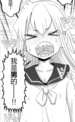 鲨鱼鲨鱼
