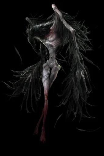 Ornifex