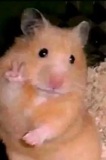 超级鼠鼠